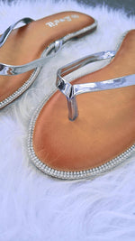 Silver Slippers