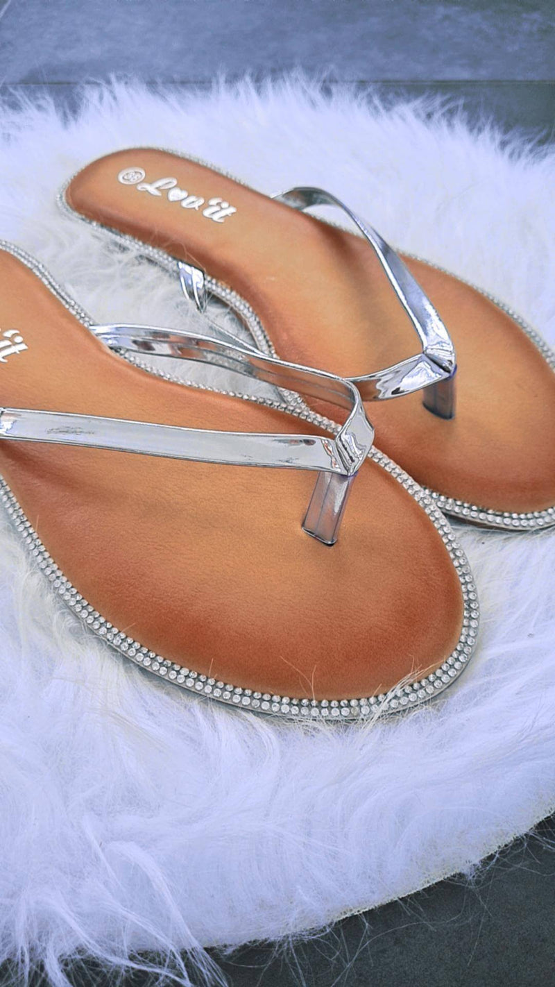 Silver Slippers